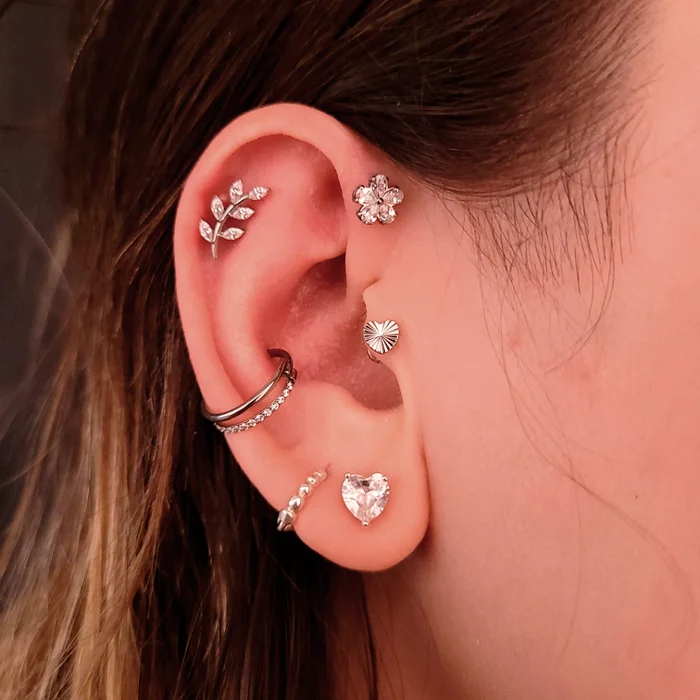 Projeto Piercings orelha Thais Dias
